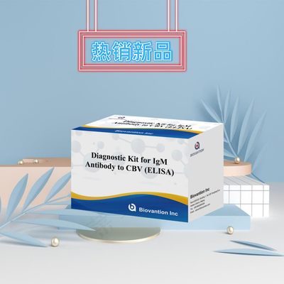 Réactif de diagnostic de l'igm CBV ELISA KIT D 18 mois Durée de conservation Test d'analyse immunosorbant lié à l'enzyme