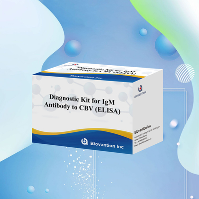 Réactif de diagnostic de l'igm CBV ELISA KIT D 18 mois Durée de conservation Test d'analyse immunosorbant lié à l'enzyme