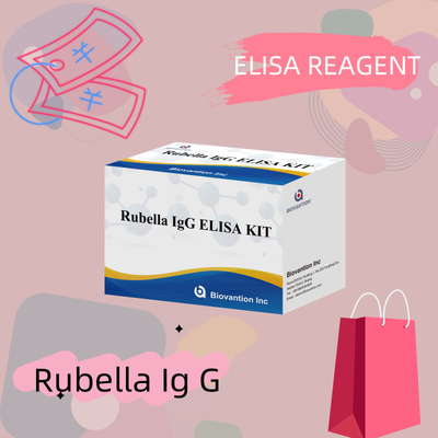 Rubéole- Igg Enzyme Immunoassay Reagents Elisa Kit de test pour la détection de la rubéole