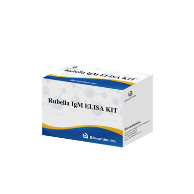 Kit de test Elisa pour la rubéole Outil de détection IgM pour les anticorps IgG de la rubéole utilisés chez l'homme