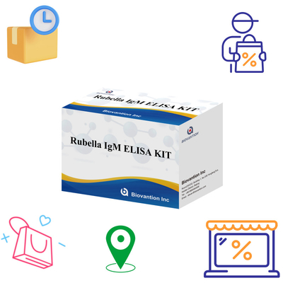Kit de test Elisa pour la rubéole Outil de détection IgM pour les anticorps IgG de la rubéole utilisés chez l'homme