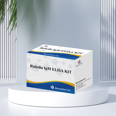 Kit de test Elisa pour la rubéole Outil de détection IgM pour les anticorps IgG de la rubéole utilisés chez l'homme