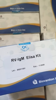 Sensitivité RV-M Elisa Rapide Temps d'essai de 2 à 3 heures pour des résultats précis