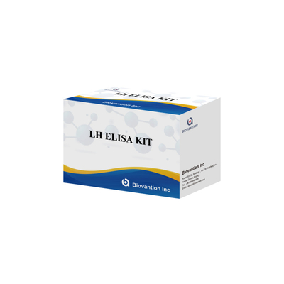 Biovantion Kit de test ELISA de LH pour le diagnostic L'hormone lutéinisante humaine LH (hormones quantitatives) détecter