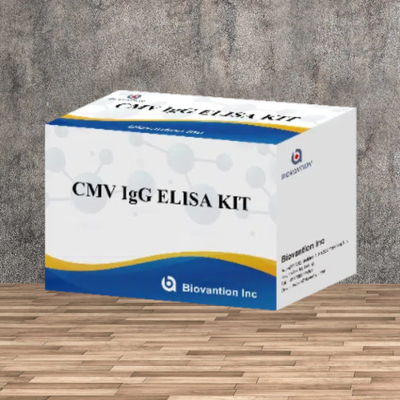 Kit de test Elisa IgG pour le CMV de haute précision en laboratoire ou à l'hôpital