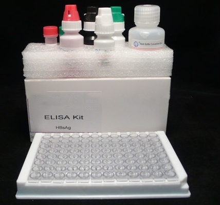 Kit de test Elisa pour une détection précise dans le diagnostic