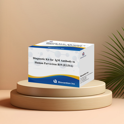 Kit de diagnostic à usage humain pour le parvovirus humain B19 IgM Anticorps Elisa Test Kit avec 96T