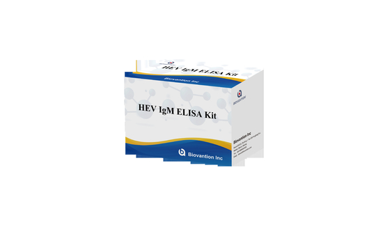 Kit de diagnostic de haute précision pour les anticorps IgG contre l'hépatite E