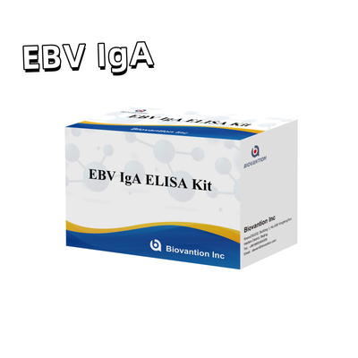 Kit de dépistage de l'EBV HUMAN ELISA 2-8°C pour le diagnostic de la sensibilité à l'anticorps IgA à l'EBV-EA