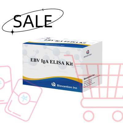 Kit de dépistage de l'EBV HUMAN ELISA 2-8°C pour le diagnostic de la sensibilité à l'anticorps IgA à l'EBV-EA