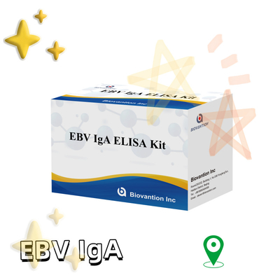 Kit de dépistage de l'EBV HUMAN ELISA 2-8°C pour le diagnostic de la sensibilité à l'anticorps IgA à l'EBV-EA