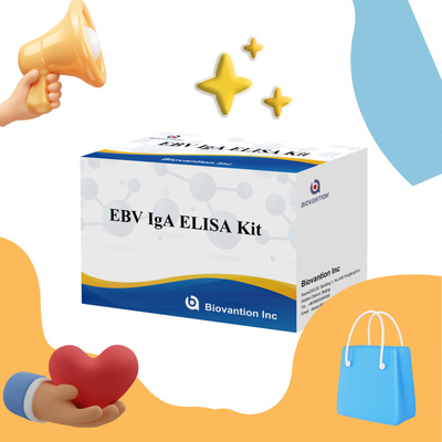 Kit de dépistage de l'EBV HUMAN ELISA 2-8°C pour le diagnostic de la sensibilité à l'anticorps IgA à l'EBV-EA
