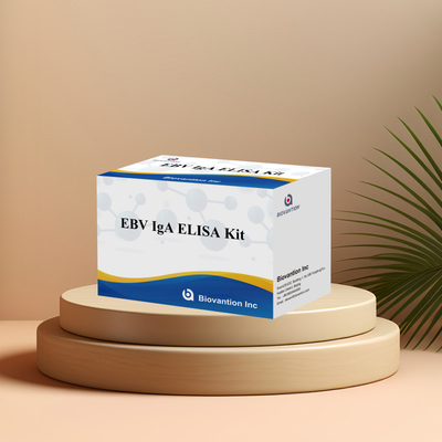 Kit de dépistage de l'EBV HUMAN ELISA 2-8°C pour le diagnostic de la sensibilité à l'anticorps IgA à l'EBV-EA