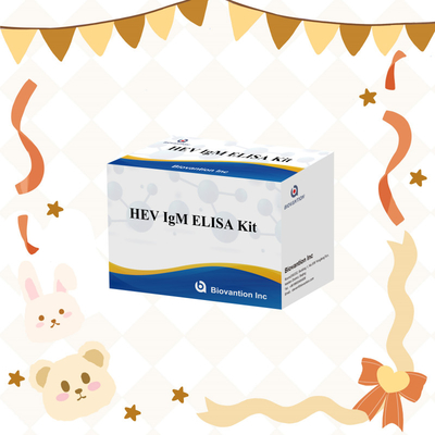 Kit de test Elisa HEV-IgM précis et sensible pour une détection et une analyse précises