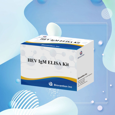 Kit de test Elisa HEV-IgM précis et sensible pour une détection et une analyse précises