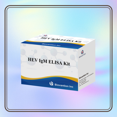 Kit de test Elisa HEV-IgM précis et sensible pour une détection et une analyse précises