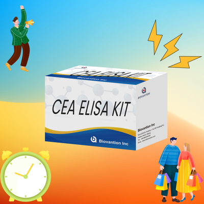 Test ELISA chez l'homme réactifs CEA Kit de test ELISA quantitatif Test sang ou sérum 96T
