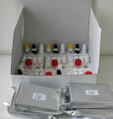 Kit de test H.Pylori IgG Elisa de haute précision pour laboratoire ou hôpital