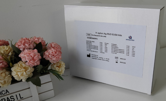 Kit de test H.Pylori IgG Elisa de haute précision pour laboratoire ou hôpital