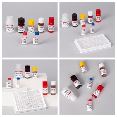 Réactifs d'immunothérapie enzymatique Kit de test Elisa pour la détection des anticorps CMV contre le cytomégalovirus