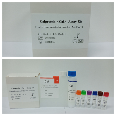 Kit d'analyse de la protéine de cal (méthode immunoturbidimétrique au latex) pour le réactif biochimique CAL