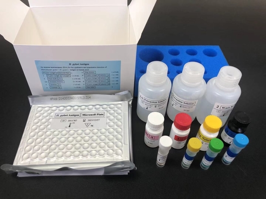 Les anticorps anti-Helicobacter HP IgG et le kit ELISA H.Pylori IgG