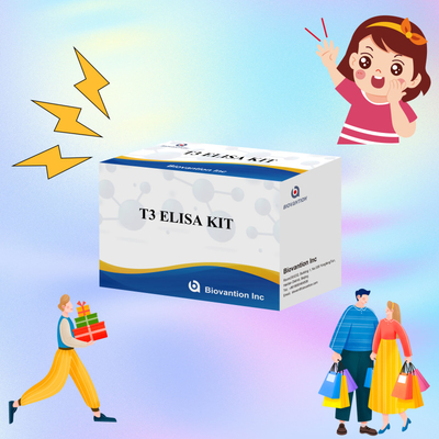 Kit de test Elisa hautement sensible et spécifique pour la détection quantitative de T3 dans le sérum humain avec un temps d'analyse court