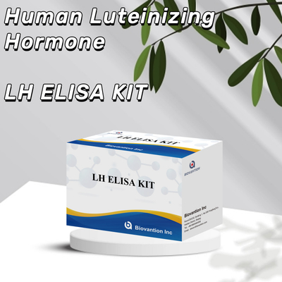 Kit de test ELISA pour le diagnostic de la LH sensible pour la détection précoce des maladies et des infections