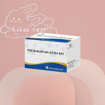 TSH Elisa Réactif Ensemble de détermination quantitative sérum Stimulant la thyroïde