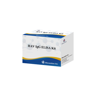 Kit ELISA IgG HAV de haute sensibilité Détection précise de l'hépatite A Virus fiable Certifié CE pour une utilisation clinique et de recherche