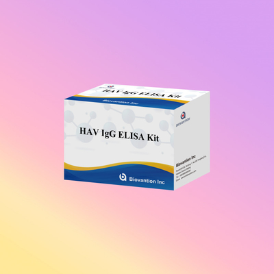 Kit ELISA IgG HAV de haute sensibilité Détection précise de l'hépatite A Virus fiable Certifié CE pour une utilisation clinique et de recherche