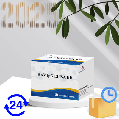 Kit ELISA IgG HAV de haute sensibilité Détection précise de l'hépatite A Virus fiable Certifié CE pour une utilisation clinique et de recherche