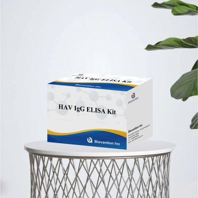 Kit ELISA IgG HAV de haute sensibilité Détection précise de l'hépatite A Virus fiable Certifié CE pour une utilisation clinique et de recherche