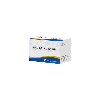 HAV IgM ELISA Kit Haute sensibilité Hépatite A Détection du virus Test de diagnostic précis et fiable pour les laboratoires cliniques