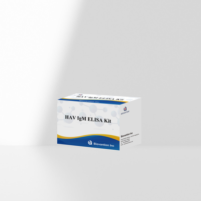 HAV IgM ELISA Kit Haute sensibilité Hépatite A Détection du virus Test de diagnostic précis et fiable pour les laboratoires cliniques