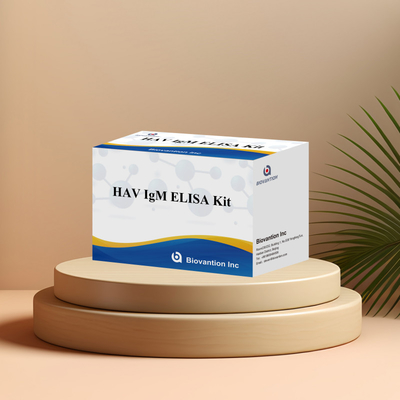 HAV IgM ELISA Kit Haute sensibilité Hépatite A Détection du virus Test de diagnostic précis et fiable pour les laboratoires cliniques
