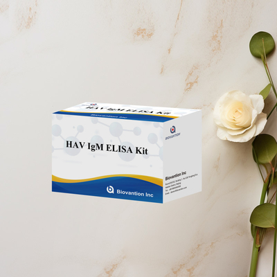 HAV IgM ELISA Kit Haute sensibilité Hépatite A Détection du virus Test de diagnostic précis et fiable pour les laboratoires cliniques