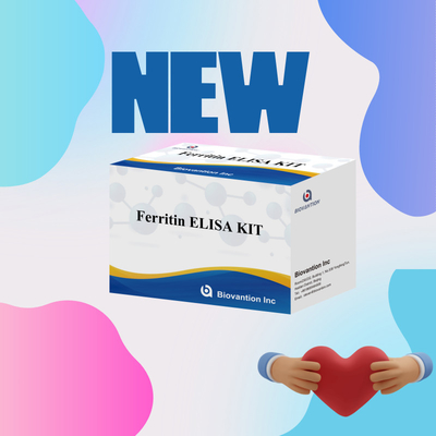 Biovantion Kit de test de ferritine Elisa à haute sensibilité Détection quantitative pour le diagnostic clinique et la recherche Utiliser des échantillons de plasma sérique humain