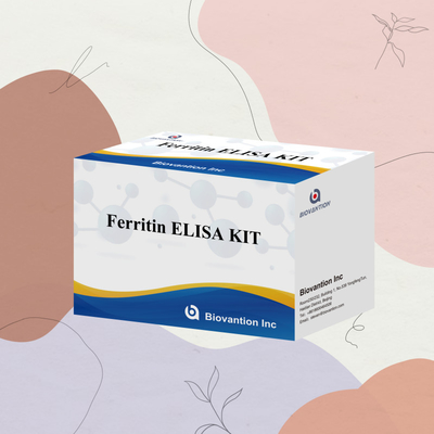 Biovantion Kit de test de ferritine Elisa à haute sensibilité Détection quantitative pour le diagnostic clinique et la recherche Utiliser des échantillons de plasma sérique humain