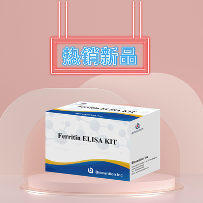 Biovantion Kit de test de ferritine Elisa à haute sensibilité Détection quantitative pour le diagnostic clinique et la recherche Utiliser des échantillons de plasma sérique humain