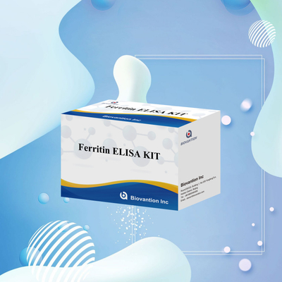 Biovantion Kit de test de ferritine Elisa à haute sensibilité Détection quantitative pour le diagnostic clinique et la recherche Utiliser des échantillons de plasma sérique humain
