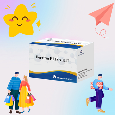 Biovantion Kit de test de ferritine Elisa à haute sensibilité Détection quantitative pour le diagnostic clinique et la recherche Utiliser des échantillons de plasma sérique humain