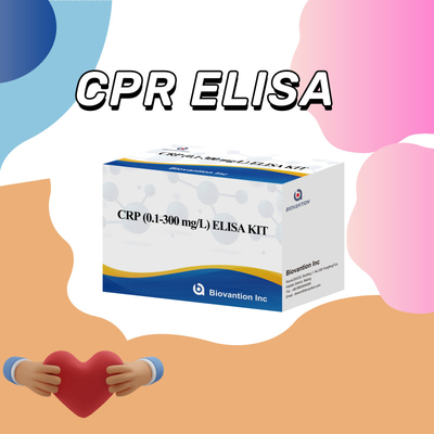 CRP précis 0,1-300 mg/l Kit de test Elisa pour la détection sensible des substances biologiques