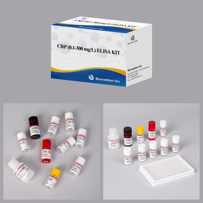 CRP précis 0,1-300 mg/l Kit de test Elisa pour la détection sensible des substances biologiques