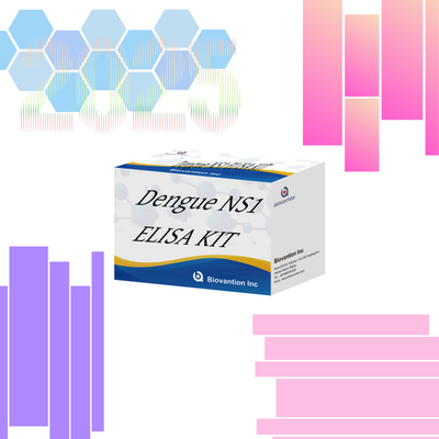 KIT ELISA pour la dengue Ns1 avec une durée de conservation de 18 mois pour le diagnostic humain