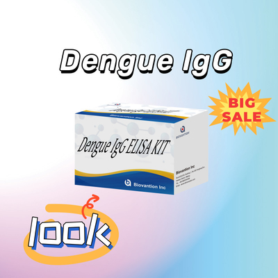 Kit de test Elisa IgG de haute performance pour la dengue pour des résultats sensibles et spécifiques