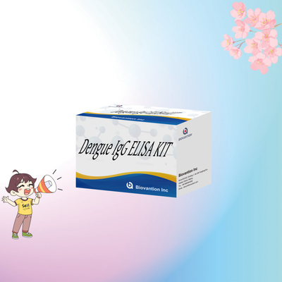 Kit d'analyse IgG ELISA personnalisable pour le dépistage spécifique et l'analyse d'échantillons biologiques