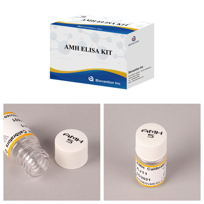 Hormone anti-mullérienne hautement sensible / kit Elisa AMH pour une détection précise et rapide de la maladie