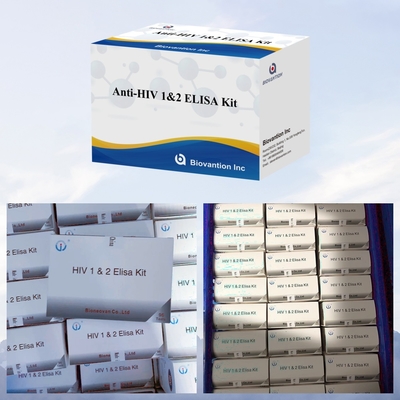 Kit de test ELISA rapide et facile pour le dépistage rapide et pratique de la maladie