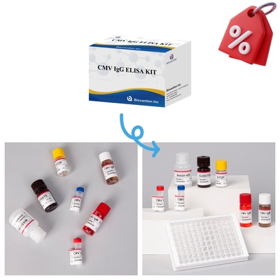 Un kit de test CMV Elisa très sensible pour des résultats précis et précis